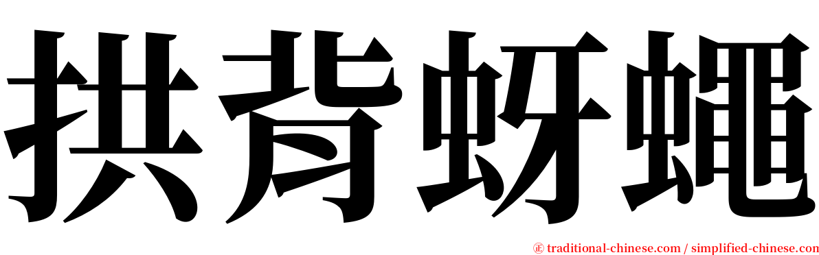 拱背蚜蠅 serif font