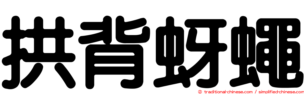 拱背蚜蠅
