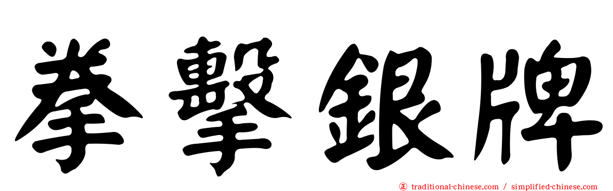 拳擊銀牌