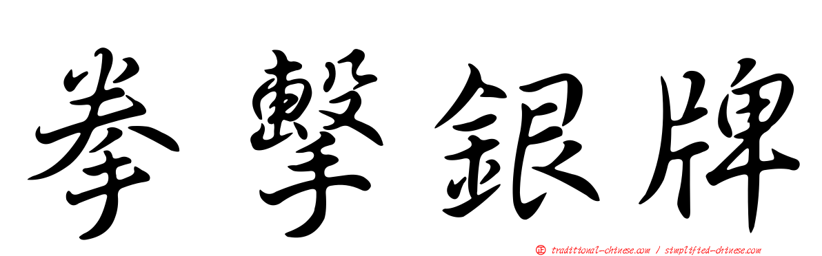 拳擊銀牌