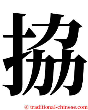 拹 serif font