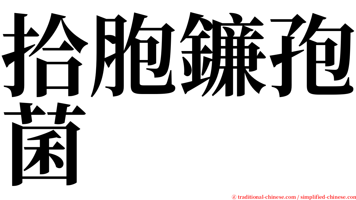 拾胞鐮孢菌 serif font