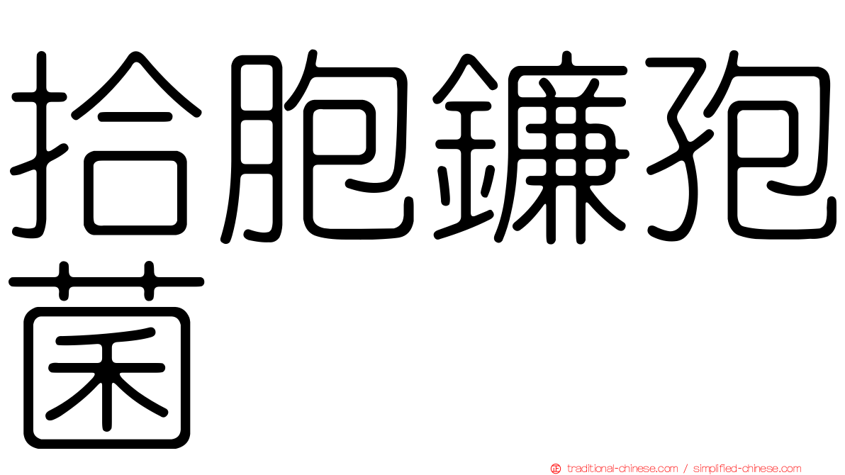 拾胞鐮孢菌