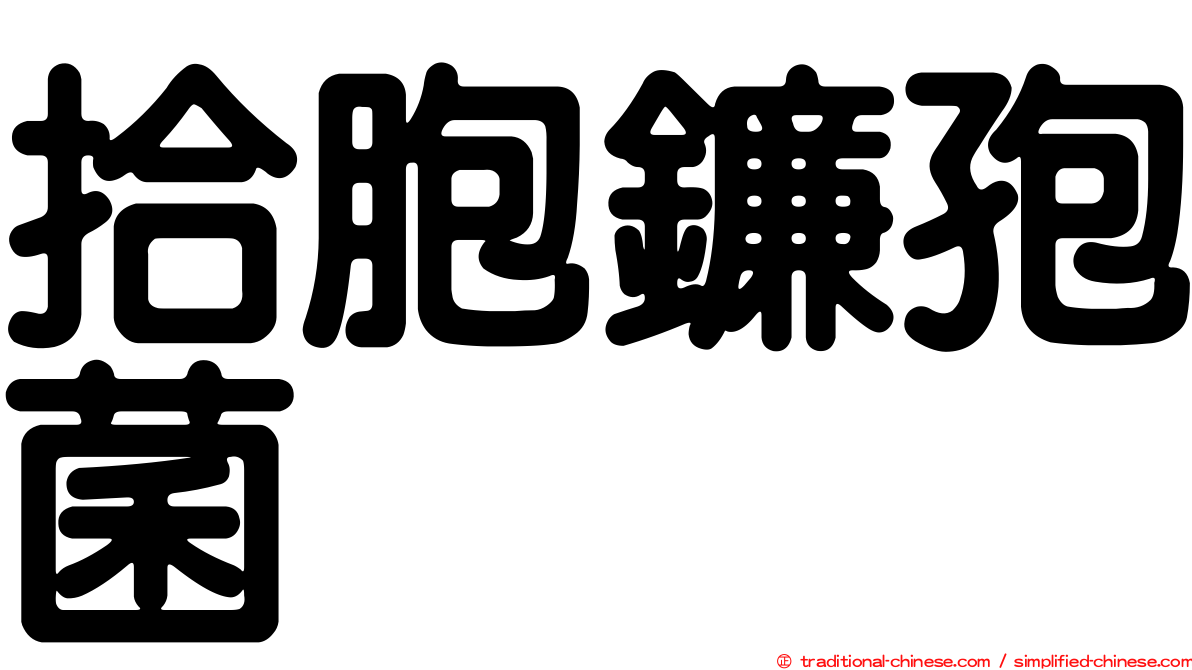 拾胞鐮孢菌