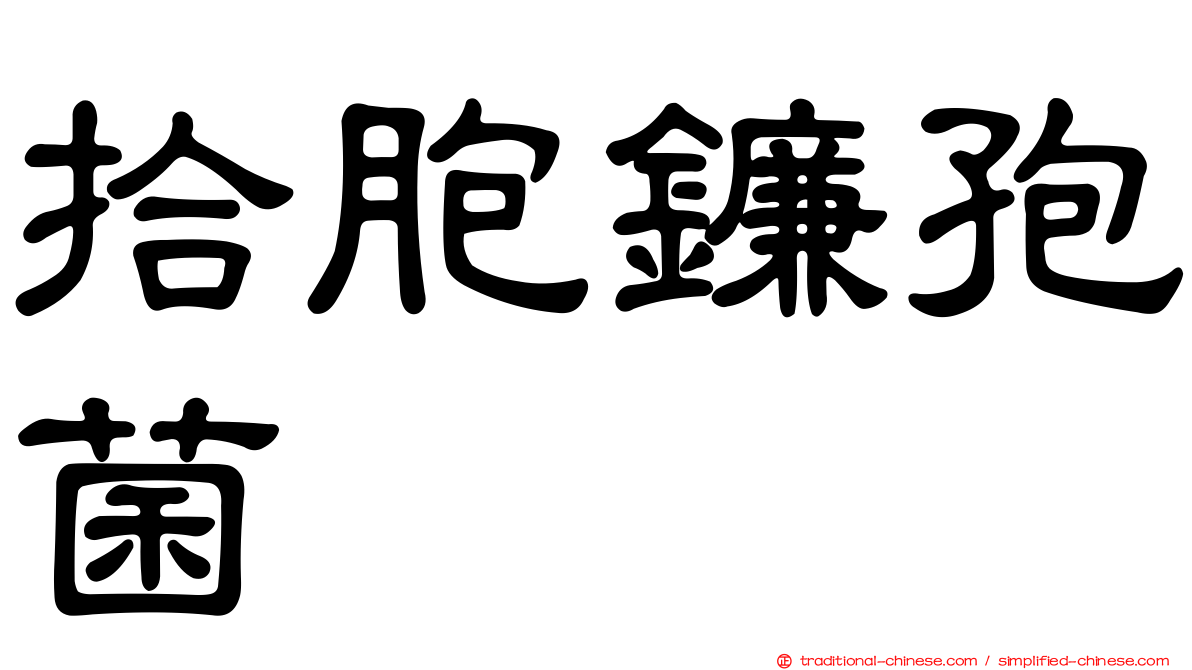 拾胞鐮孢菌