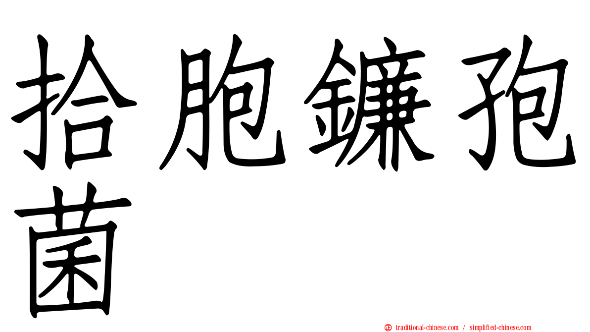 拾胞鐮孢菌