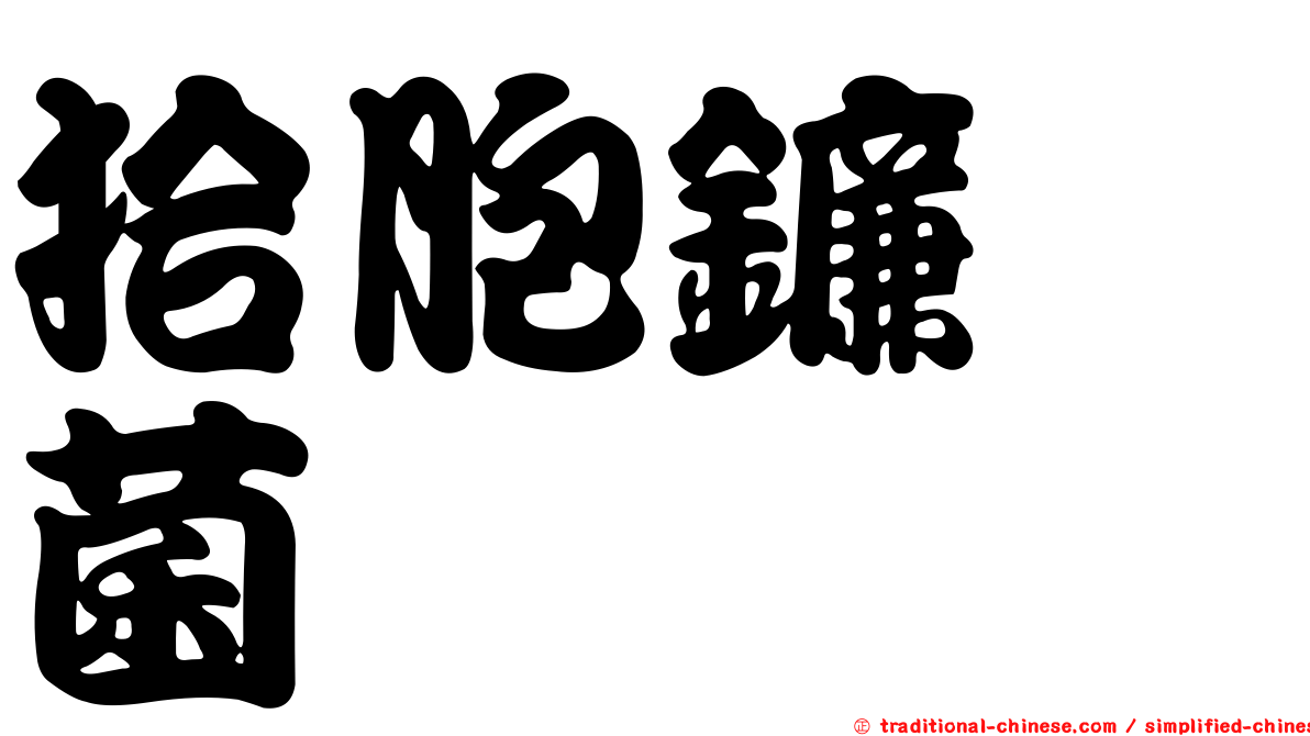 拾胞鐮孢菌