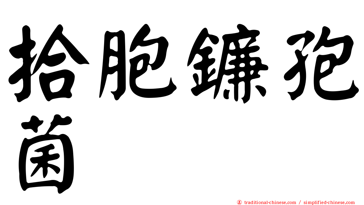 拾胞鐮孢菌