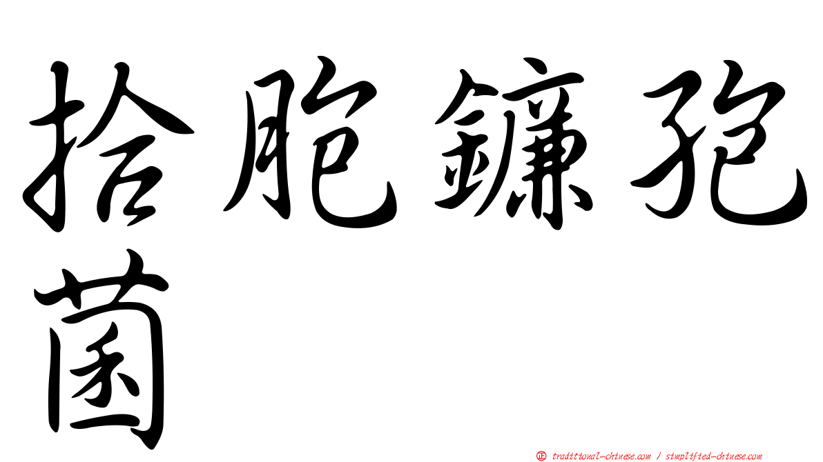 拾胞鐮孢菌