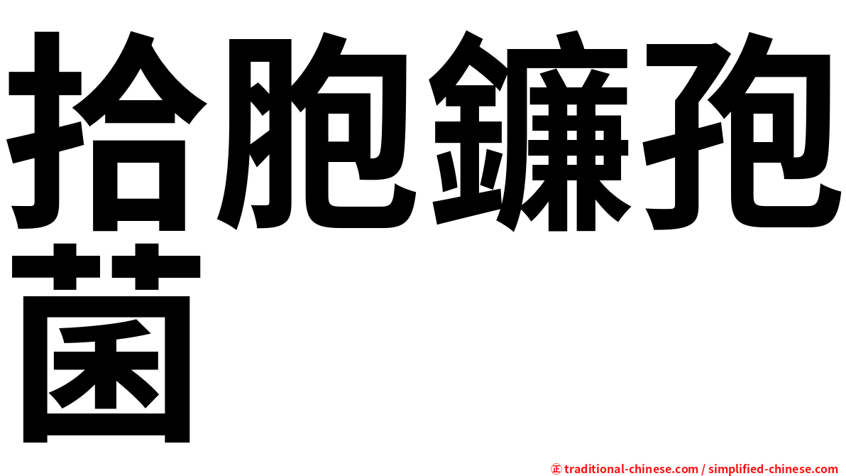 拾胞鐮孢菌