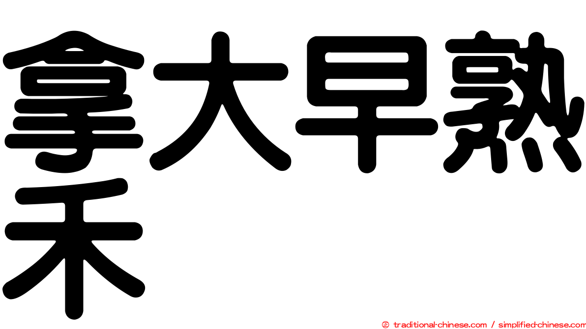 拿大早熟禾