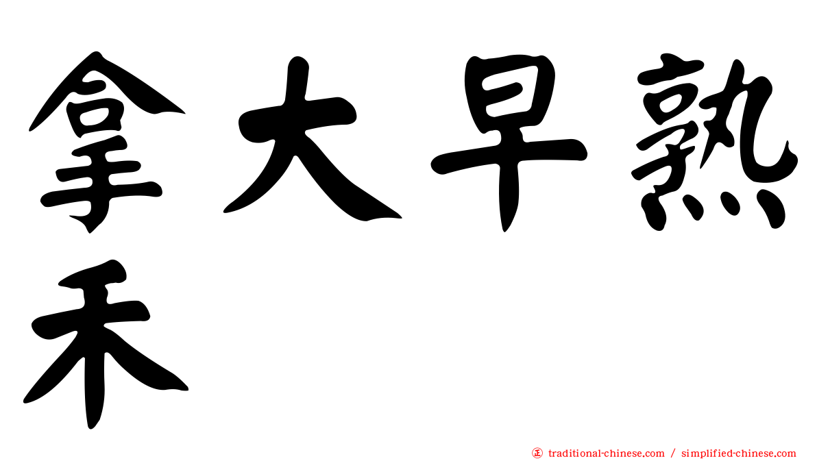 拿大早熟禾