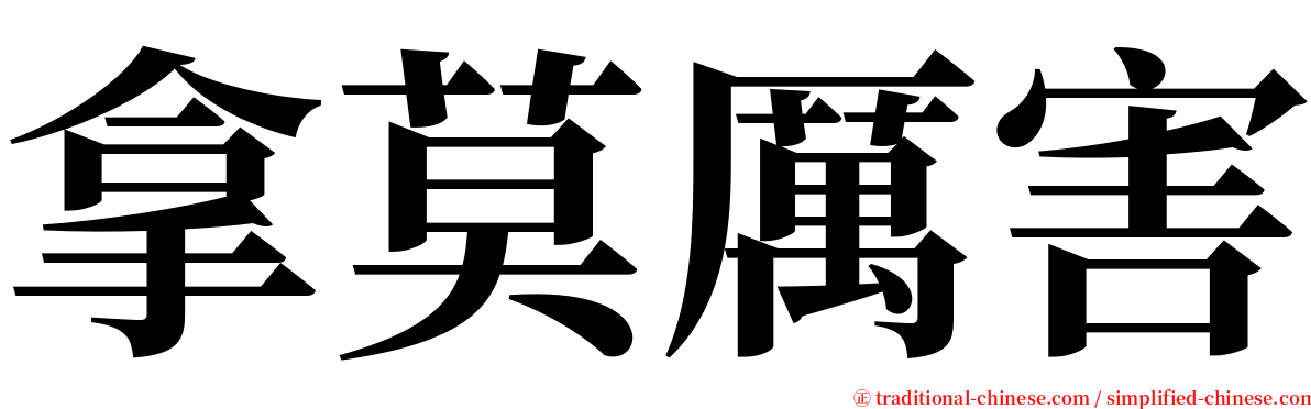 拿莫厲害 serif font