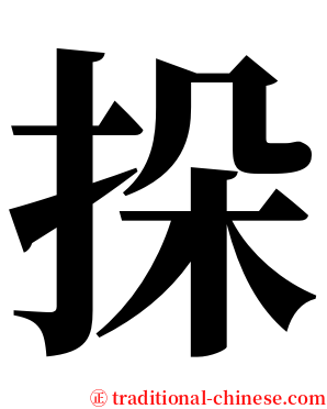 挆 serif font
