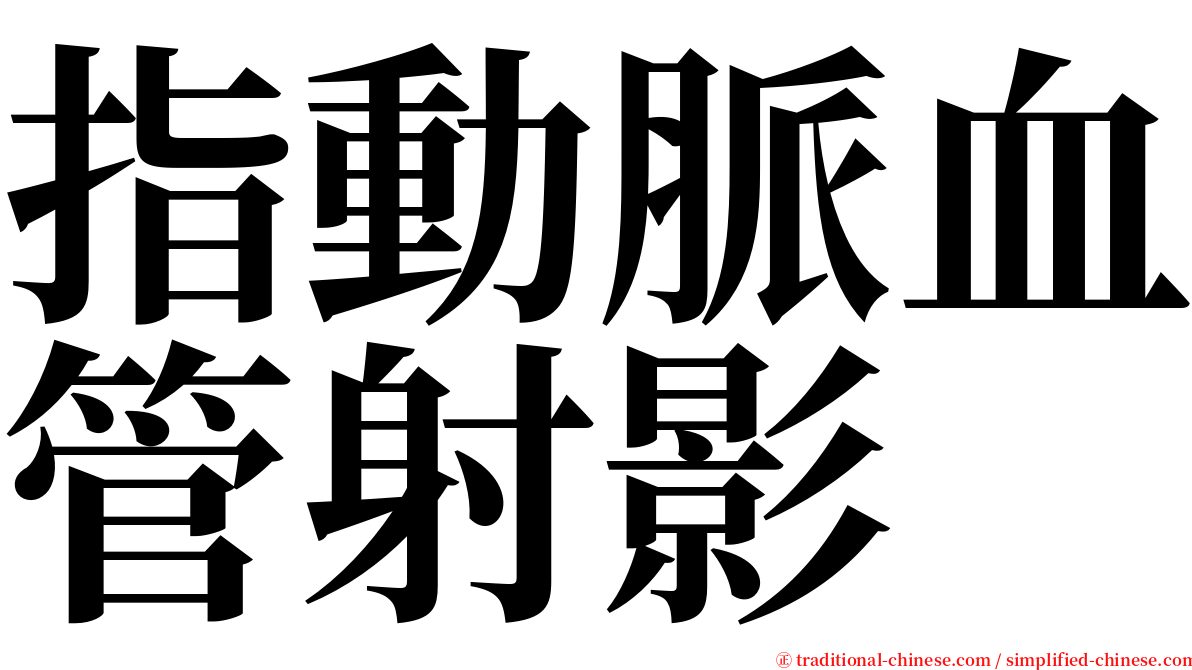 指動脈血管射影 serif font