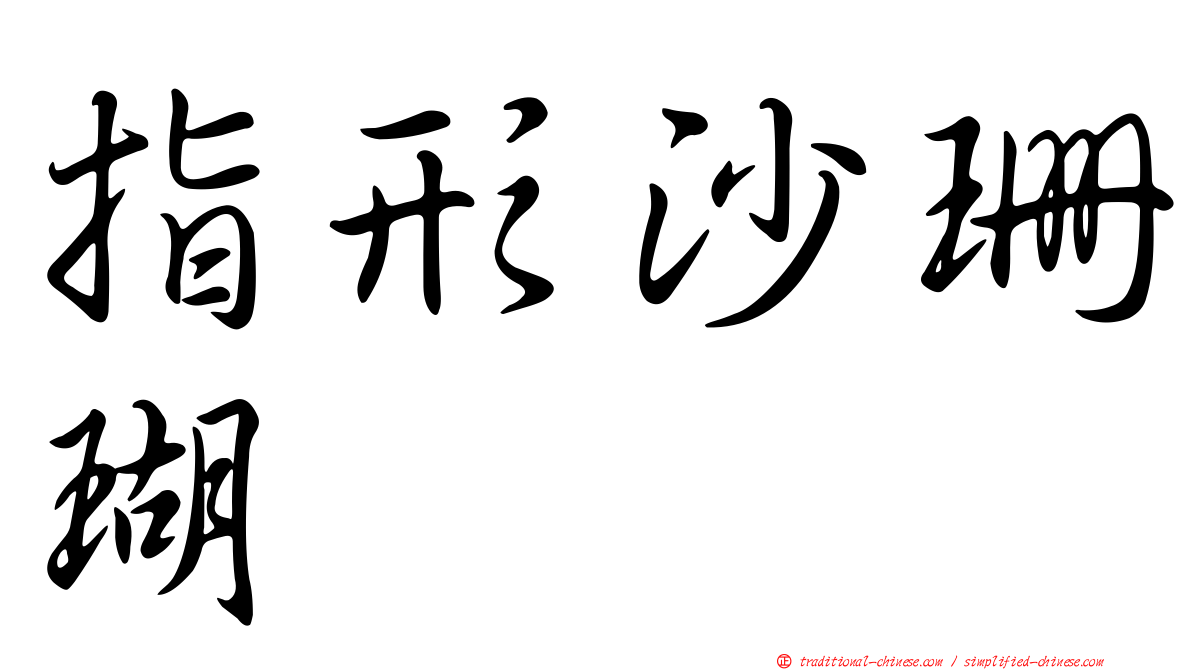 指形沙珊瑚