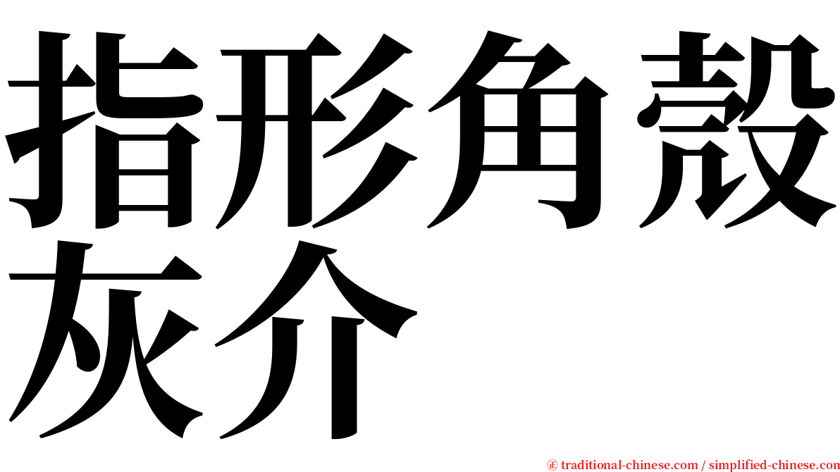 指形角殼灰介 serif font
