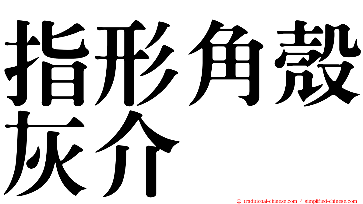 指形角殼灰介