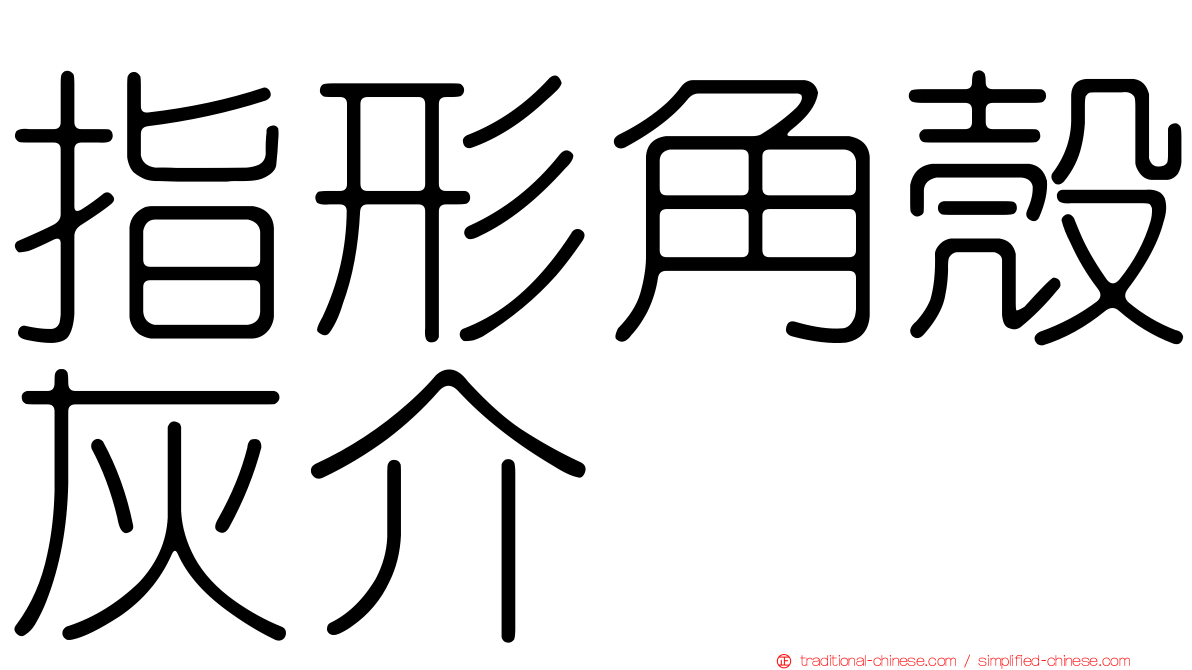 指形角殼灰介
