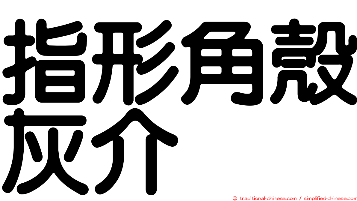 指形角殼灰介