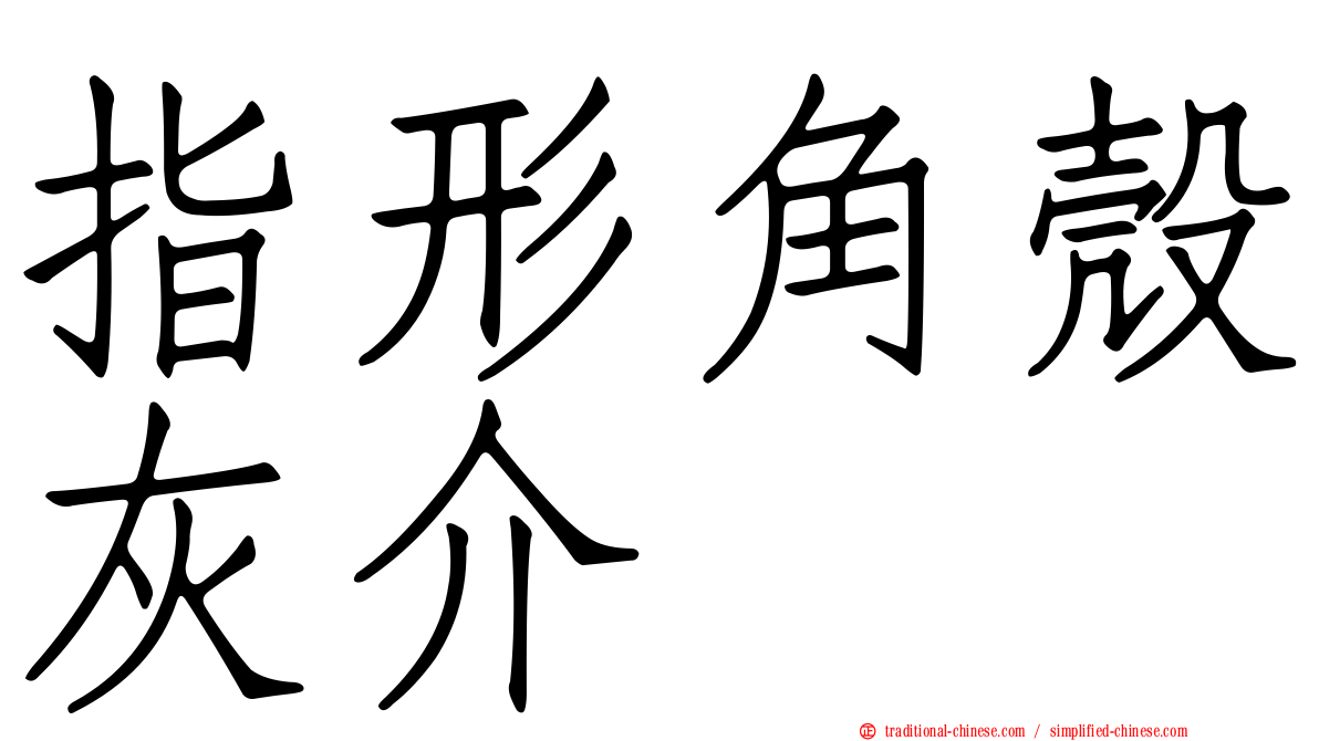 指形角殼灰介
