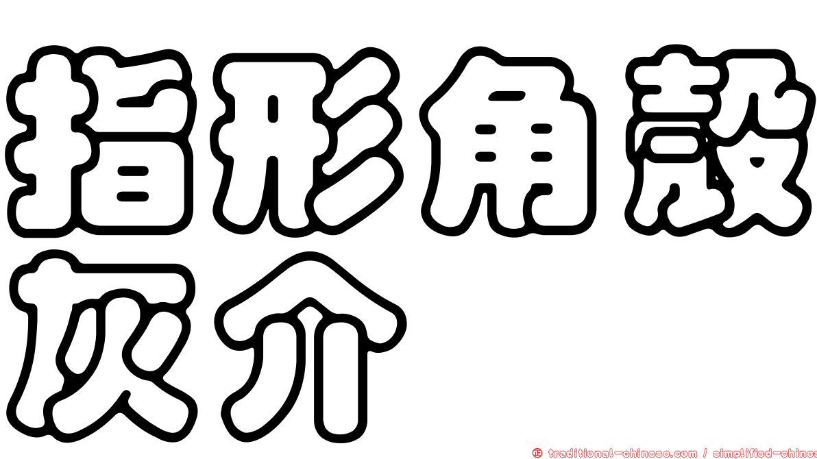 指形角殼灰介