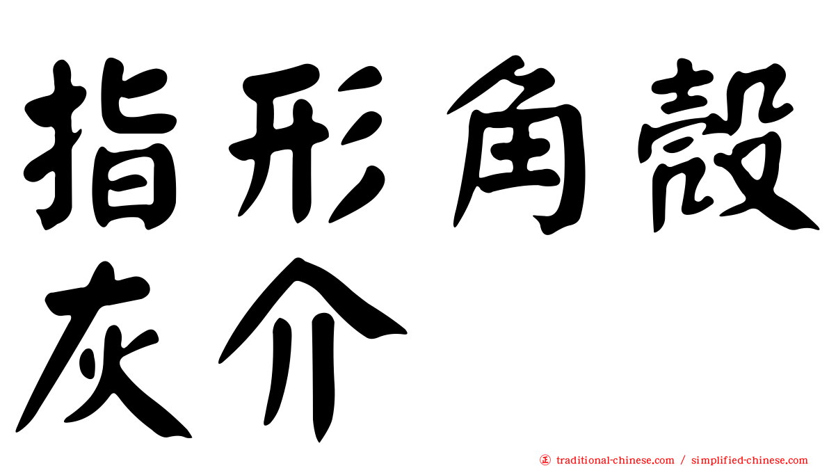 指形角殼灰介