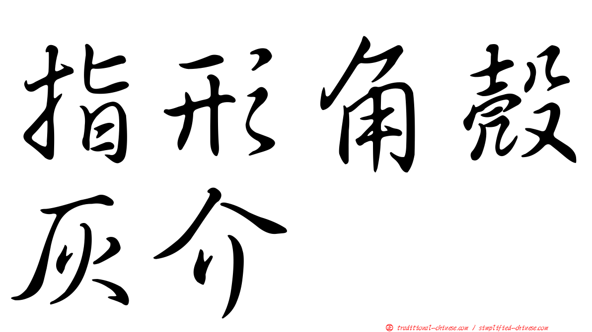 指形角殼灰介