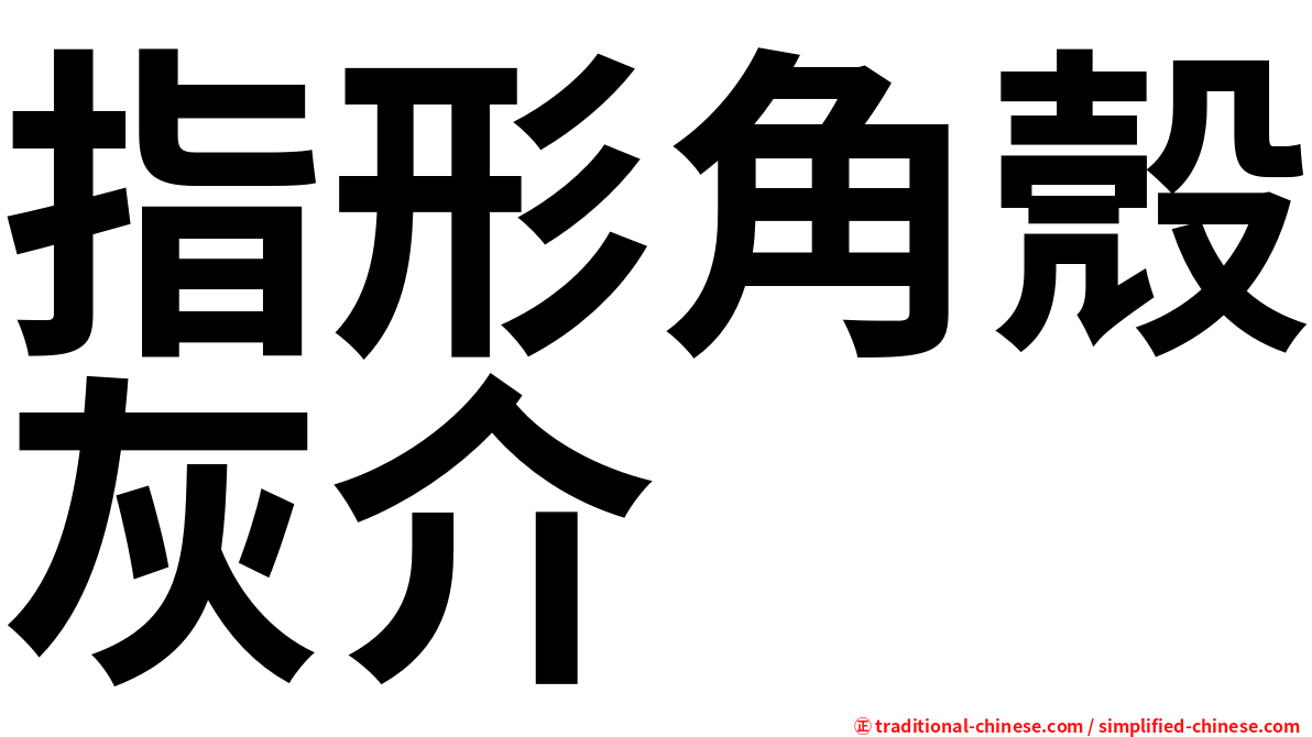 指形角殼灰介