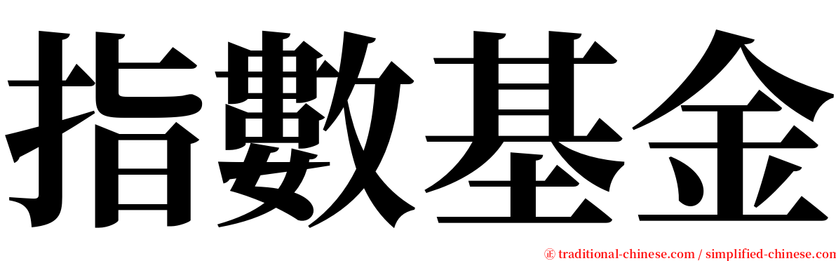 指數基金 serif font