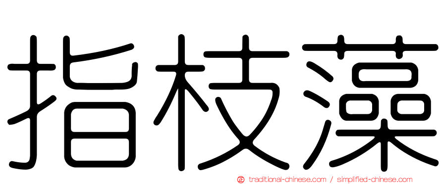 指枝藻