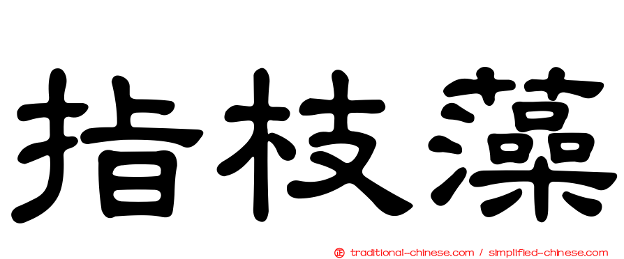指枝藻