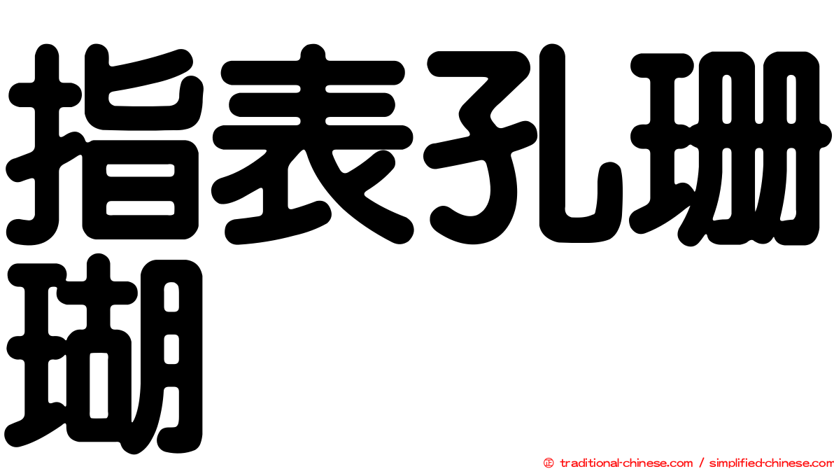 指表孔珊瑚