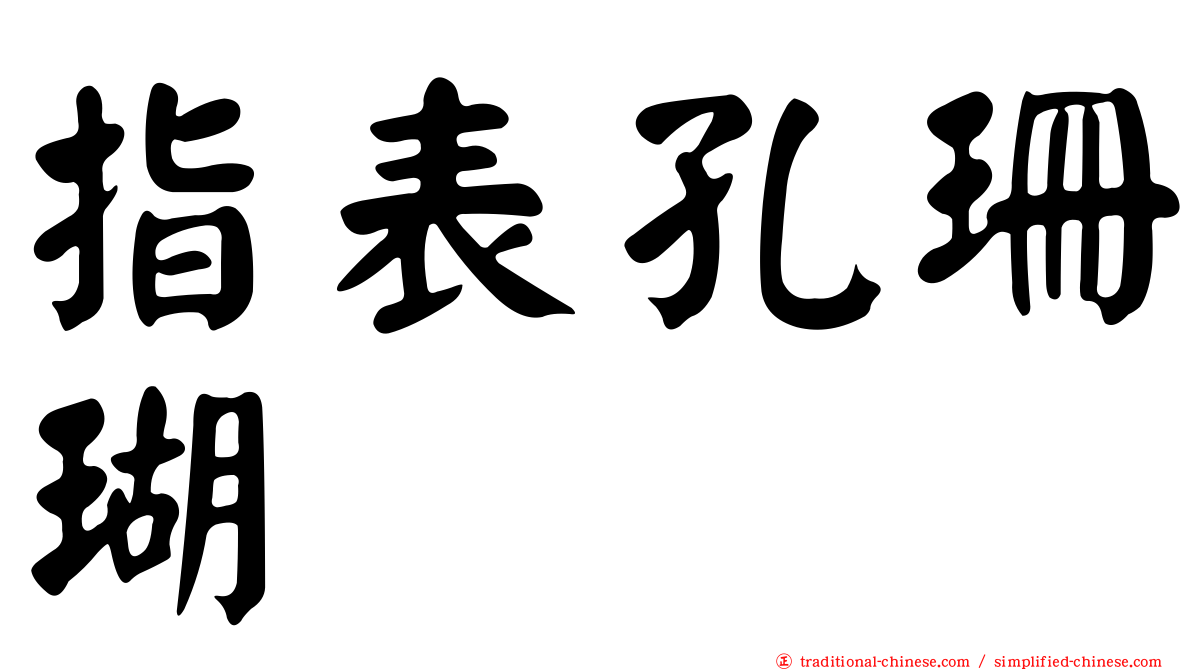 指表孔珊瑚