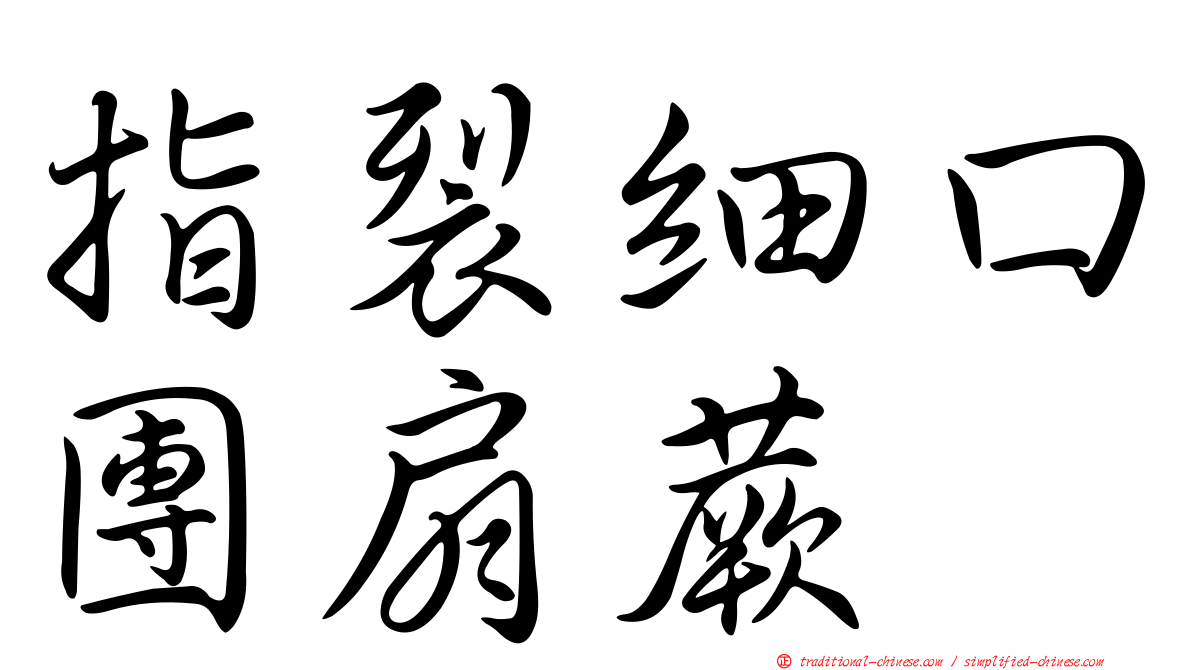 指裂細口團扇蕨