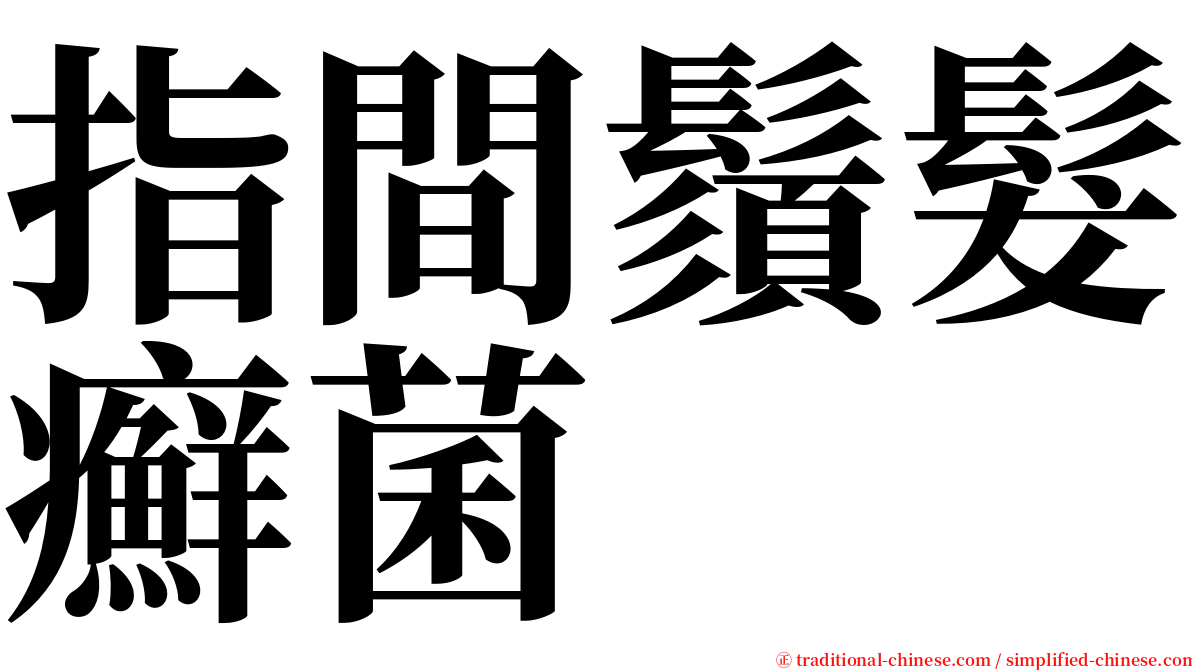 指間鬚髮癬菌 serif font