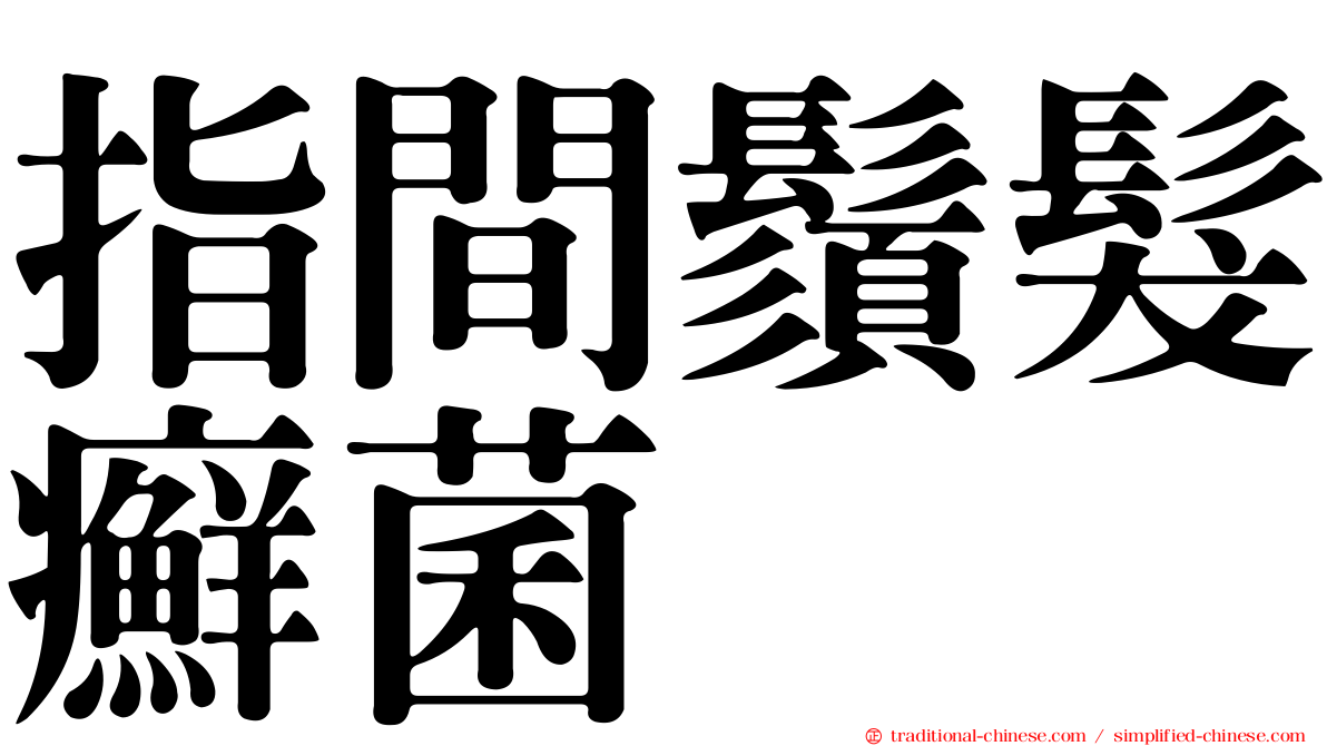 指間鬚髮癬菌