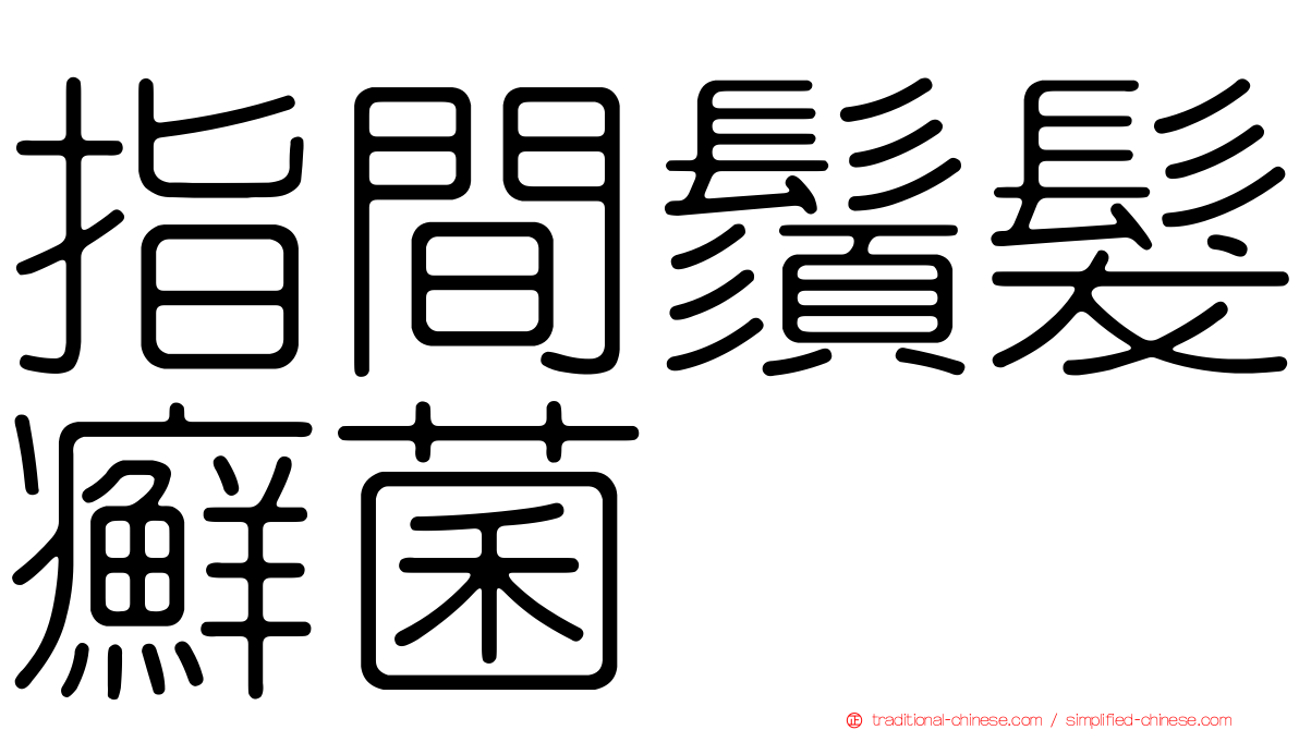 指間鬚髮癬菌