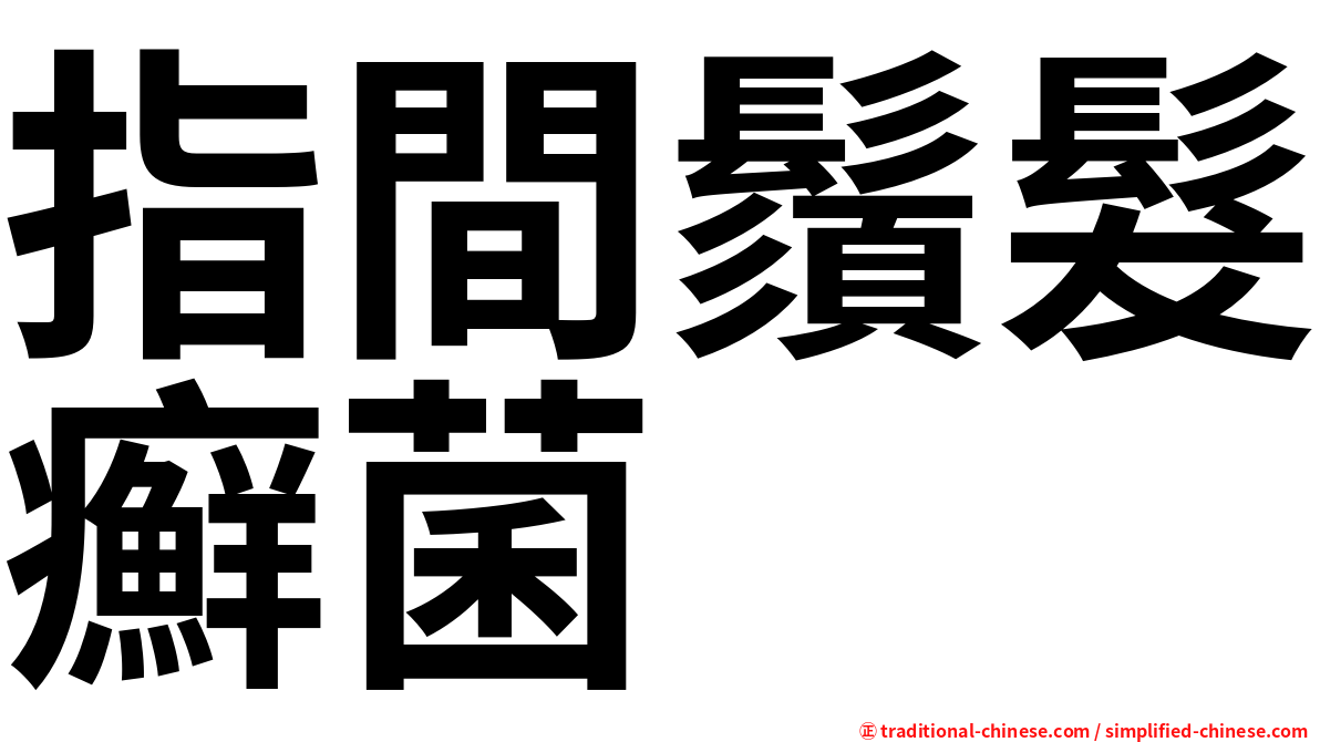 指間鬚髮癬菌