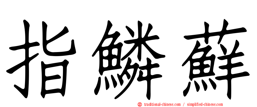 指鱗蘚