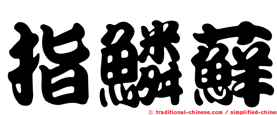 指鱗蘚