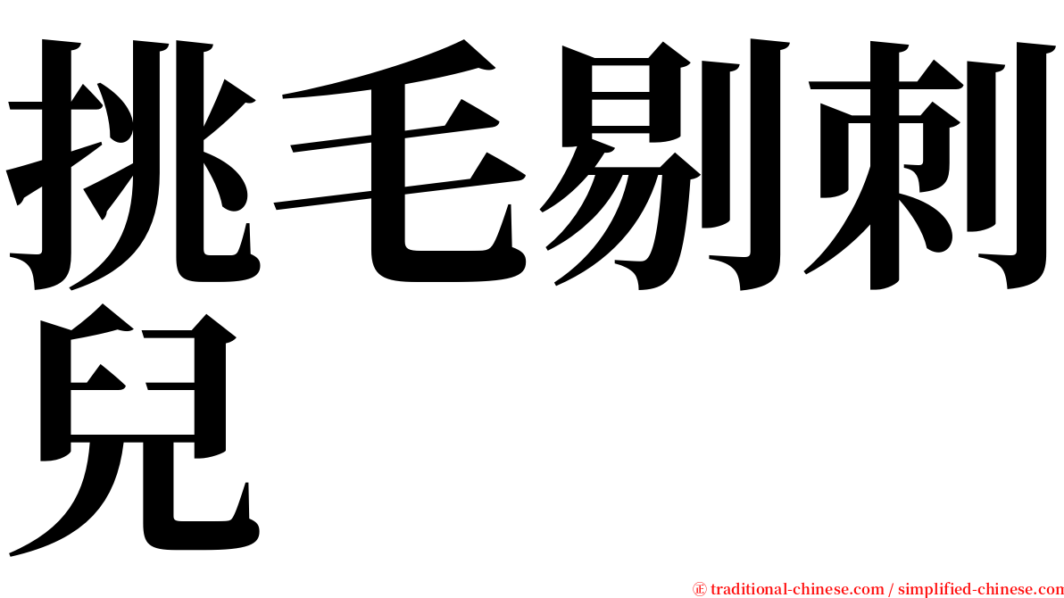 挑毛剔刺兒 serif font