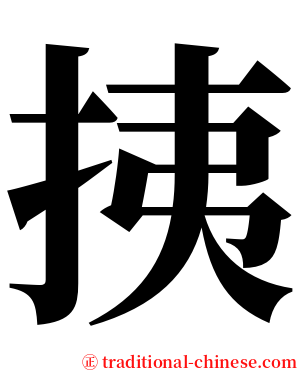 挗 serif font