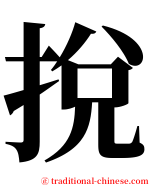 挩 serif font
