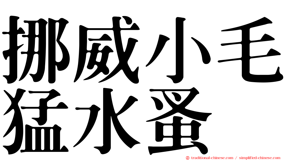 挪威小毛猛水蚤