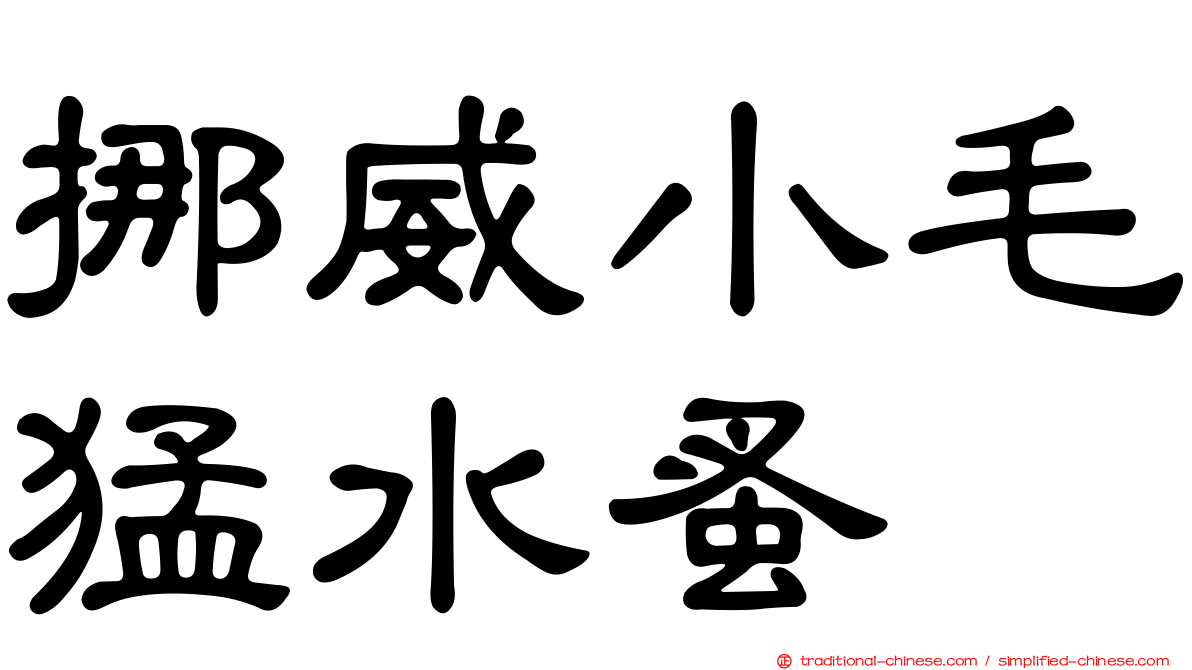 挪威小毛猛水蚤