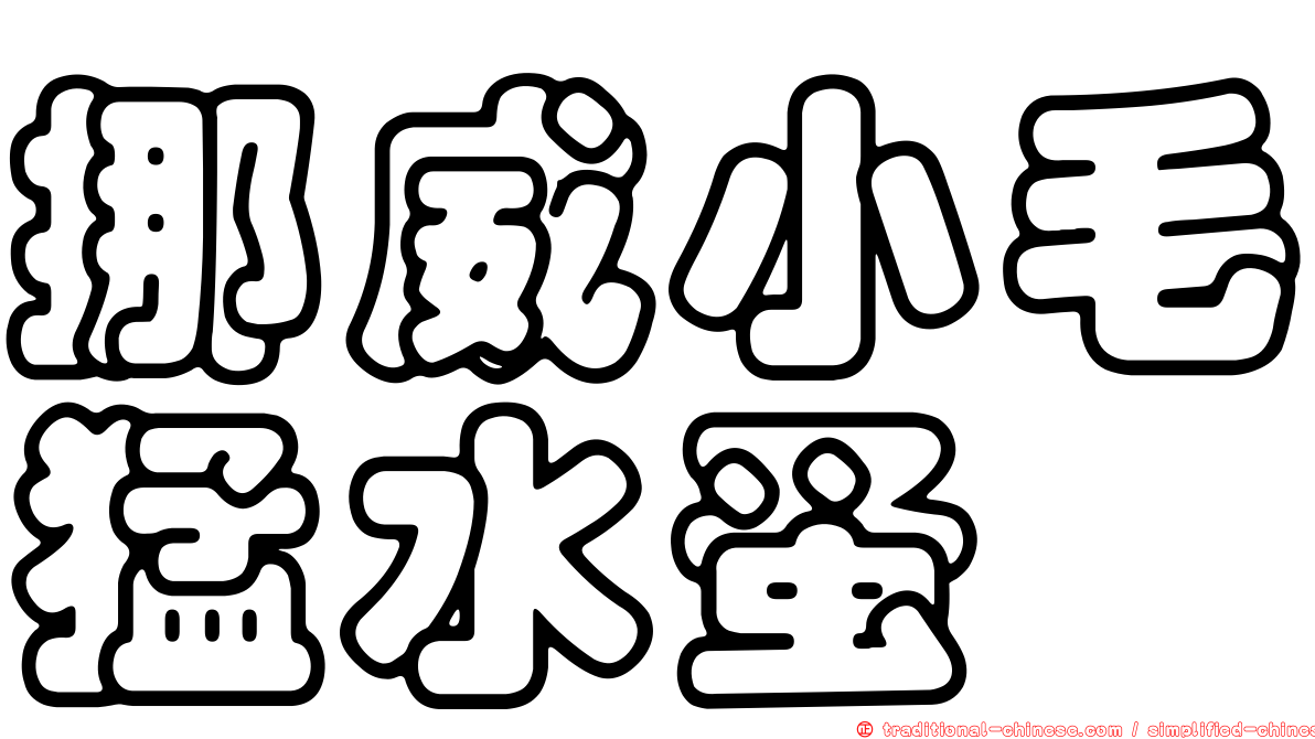 挪威小毛猛水蚤