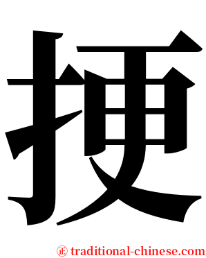 挭 serif font