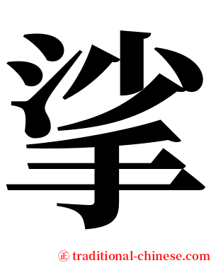挲 serif font