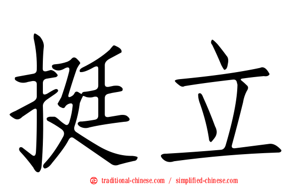 挺立